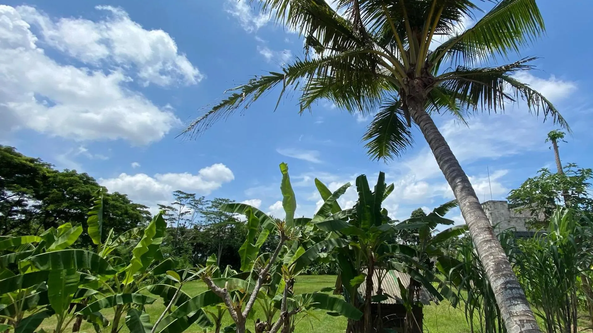 Villa Najma Ubud